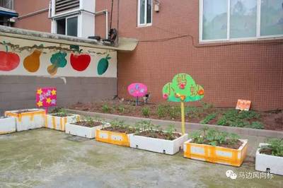 贏在起跑線——金蘋果幼兒園幼小銜接班正式開班